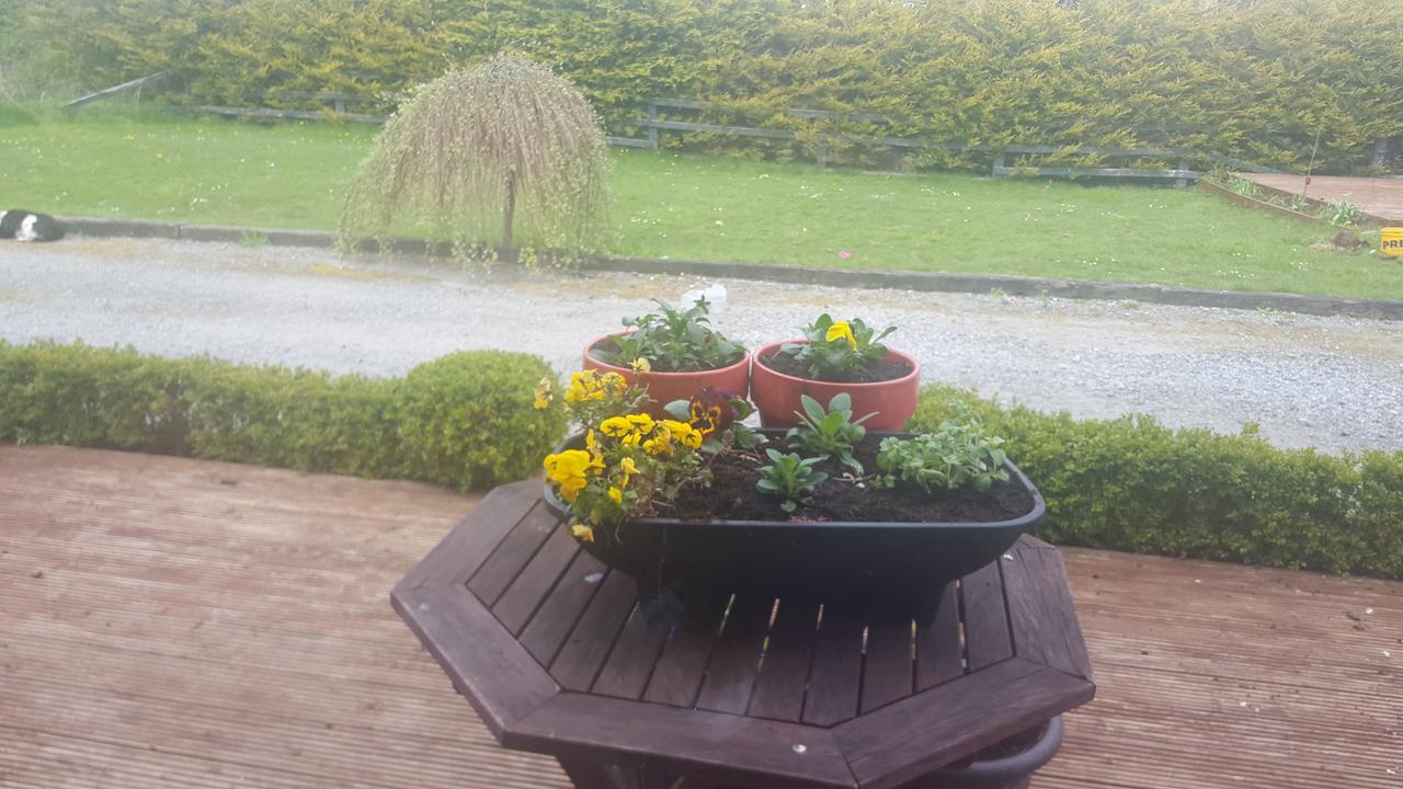 Ely House B&B Shannonbridge Eksteriør bilde